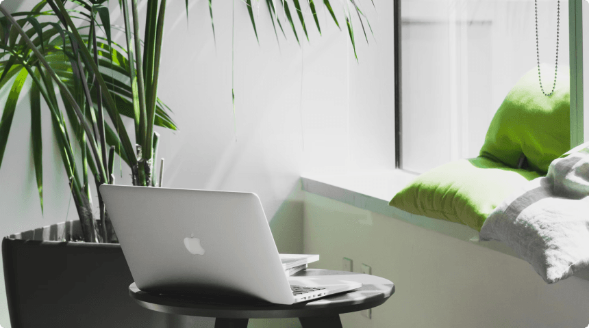 A laptop on a small table beside a bright window and indoor plant.